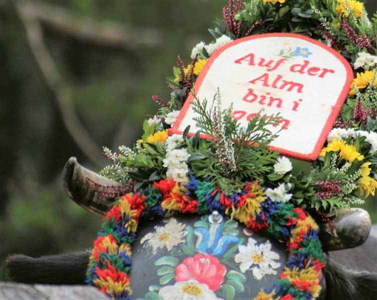 Drei-Almen-Abtrieb in Mieming – Abschied des Marienberg-Hirten