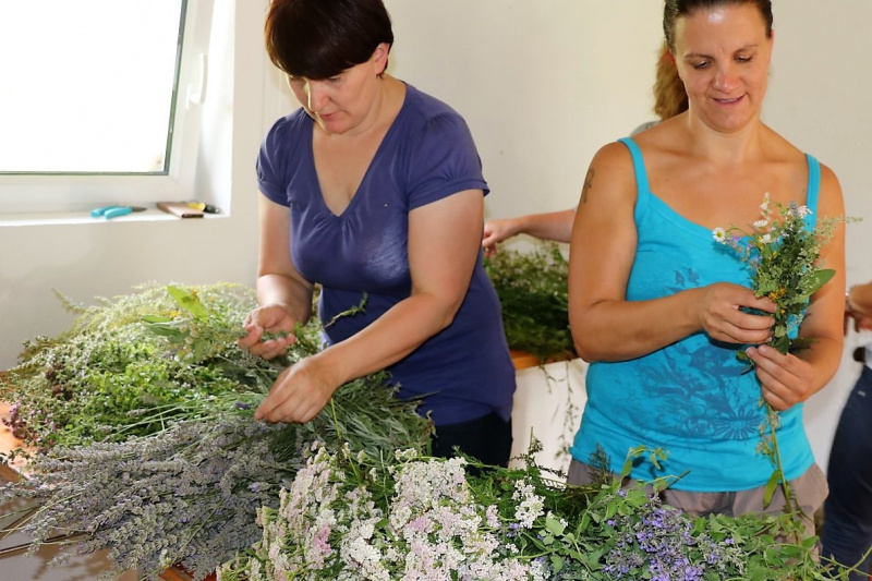 Landfrauen binden Kräuterbüschl zu Maria Himmelfahrt