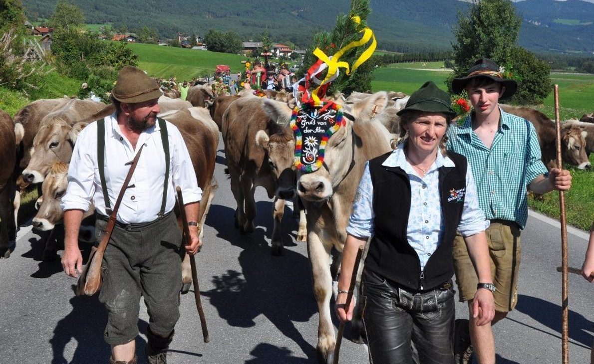 35 Kilometer sind die Hirten und ihr Vieh unterwegs, bis sie daheim, am Vorberg in Obermieming ankommen. (Foto: Knut Kuckel)