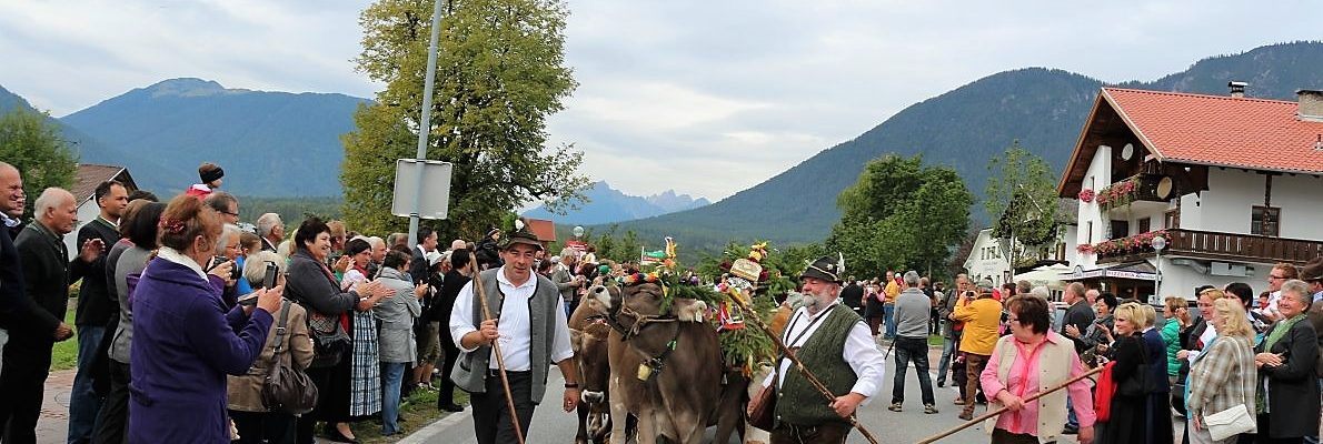 Über zweitausend Menschen applaudierten zur Ankunft der Hirtenfamilie Schuchter und dem Almvieh. (Foto: Knut Kuckel)